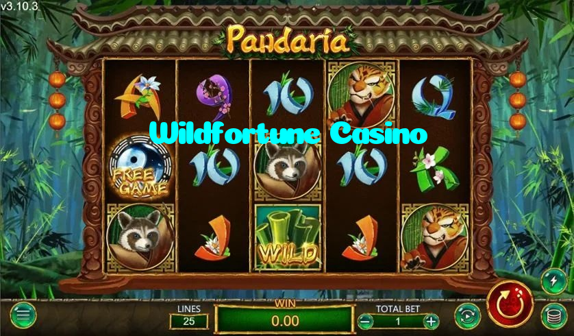 making first deposit on Wildfortune Casino website using local payment methods in Pakistan